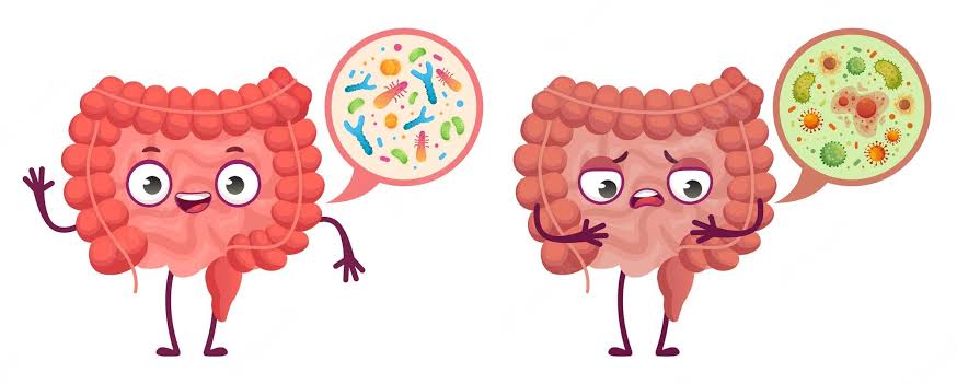 Microbioma: como os micróbios do nosso corpo são importantes para nossa saúde?